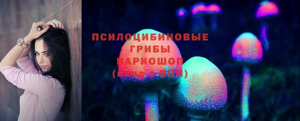 прущие грибы Новодвинск