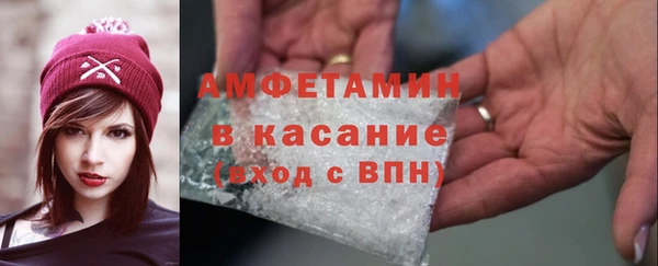 прущие грибы Новодвинск
