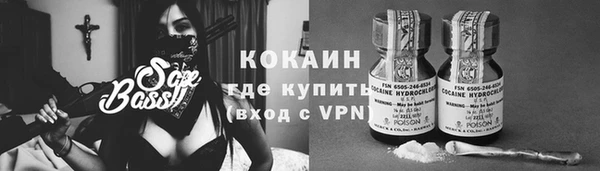 прущие грибы Новодвинск