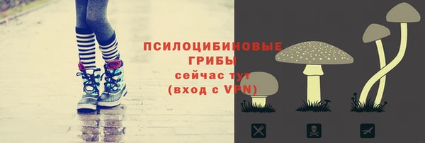 прущие грибы Новодвинск