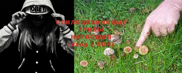 mdma Новозыбков