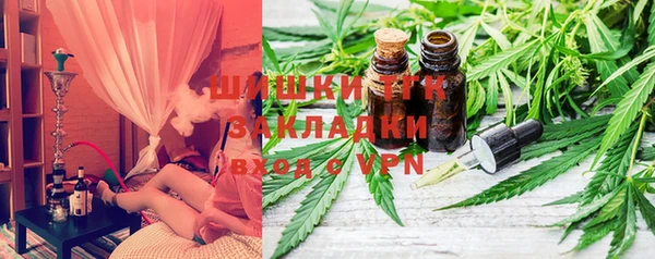 прущие грибы Новодвинск