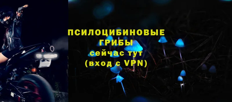 Галлюциногенные грибы мухоморы  сколько стоит  Зубцов 