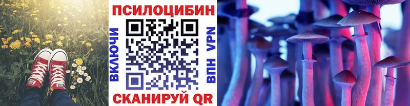 Галлюциногенные грибы MAGIC MUSHROOMS  Зубцов 