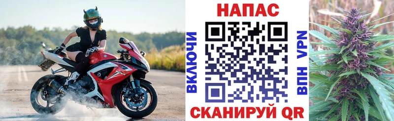 Марихуана MAZAR как найти Зубцов